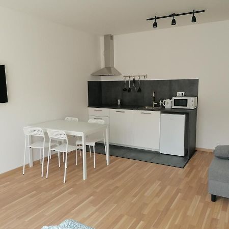 Brand New Studio Apartment #21 With Free Secure Parking In The Center Прага Екстериор снимка