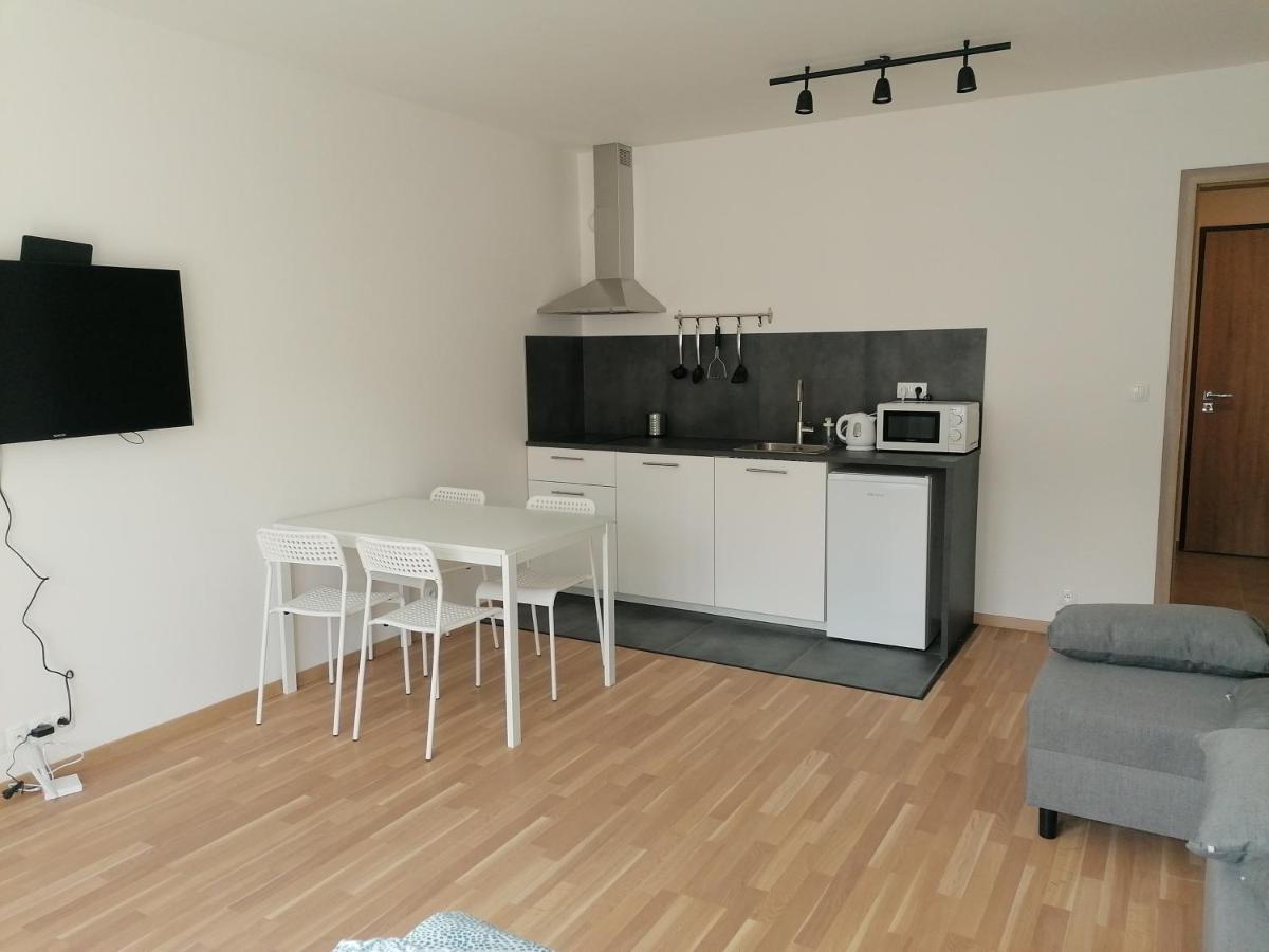 Brand New Studio Apartment #21 With Free Secure Parking In The Center Прага Екстериор снимка