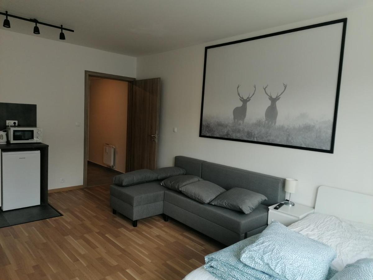 Brand New Studio Apartment #21 With Free Secure Parking In The Center Прага Екстериор снимка